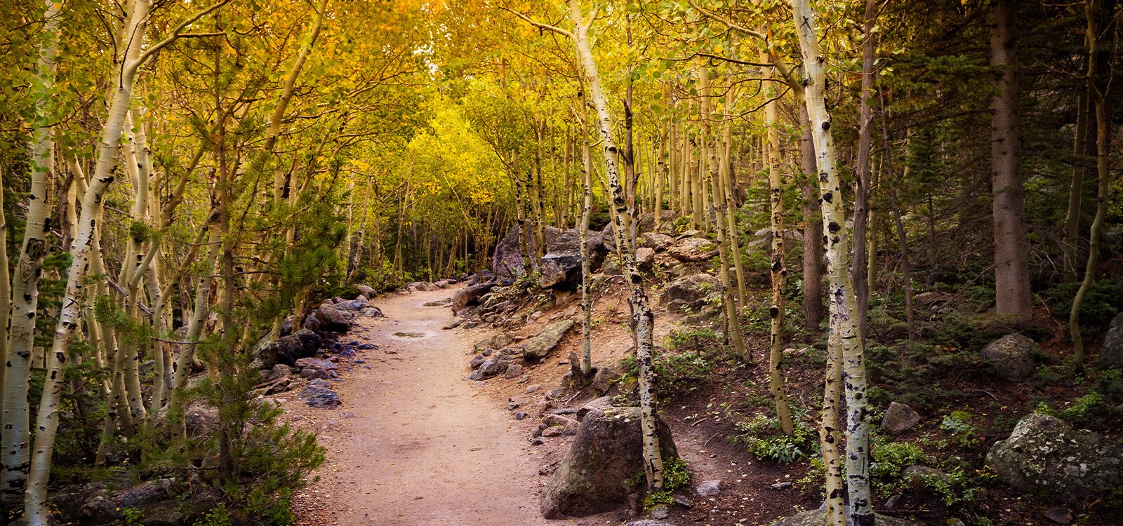 The Colorado Trail