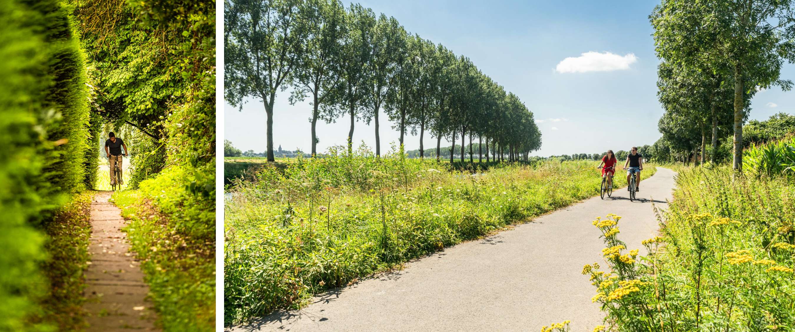Twee beelden: fietser onder bladerdak en twee fietsers tussen bomen en velden.