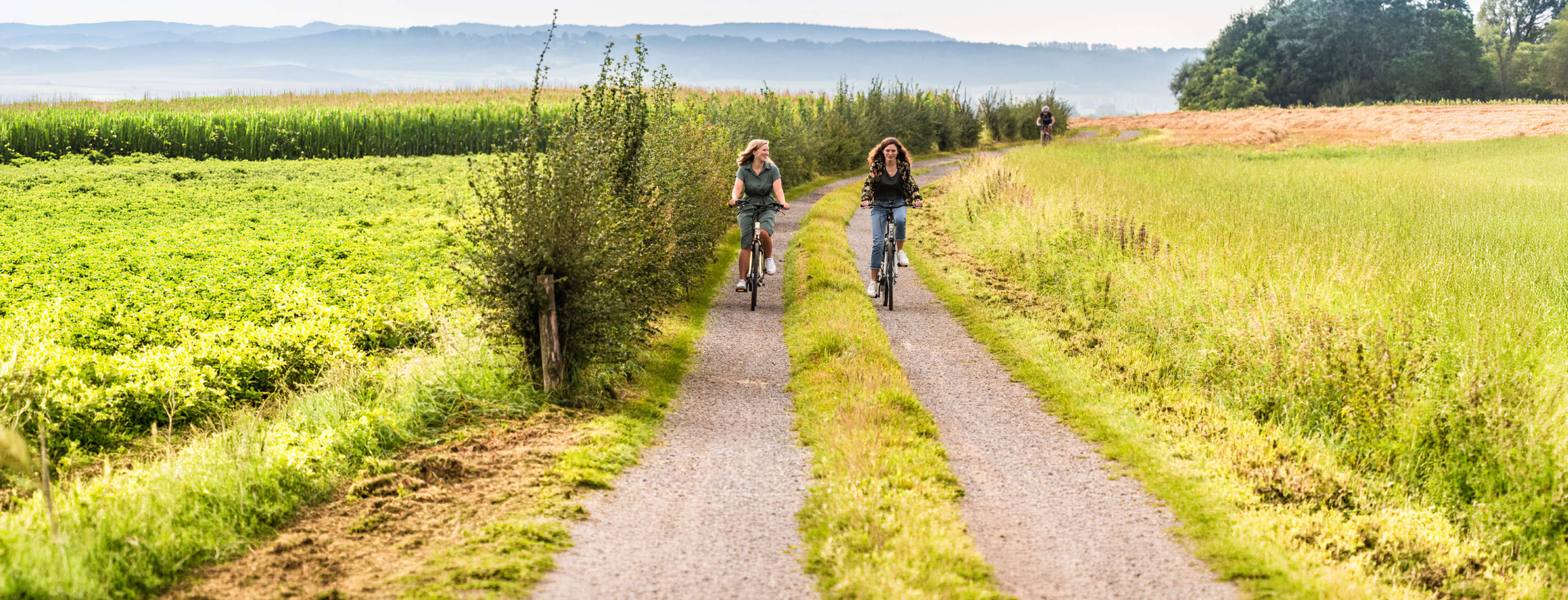 Fietsknooppunten in België: de 12 mooiste routes 
