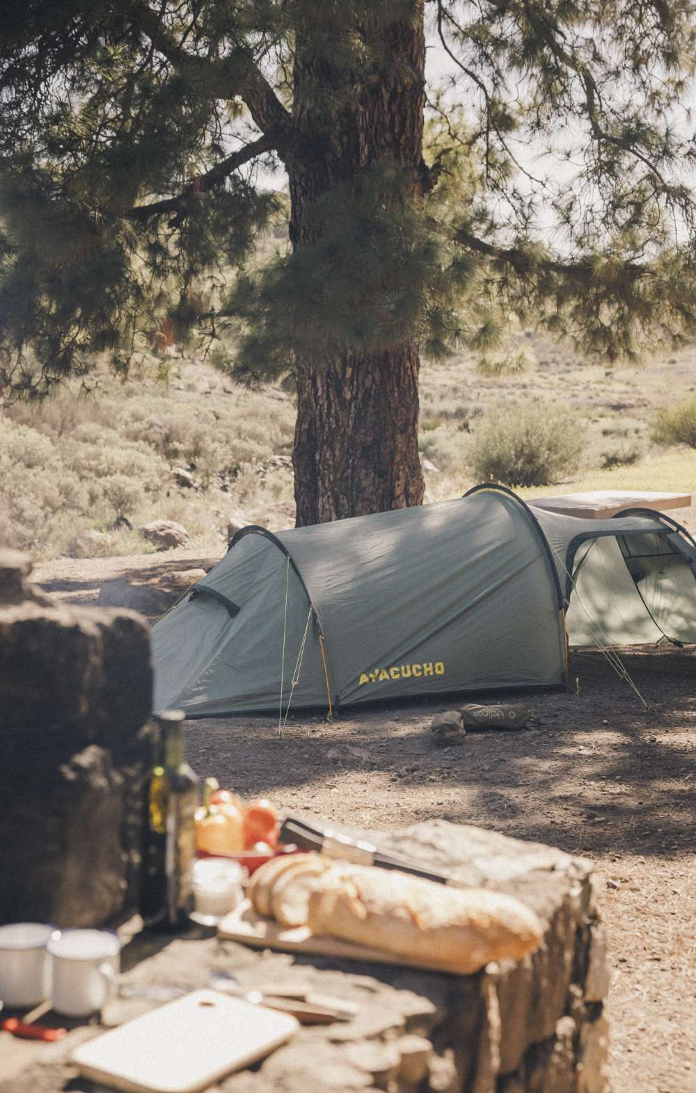 Tente sous un grand arbre dans un camping boisé, avec table et ustensiles de cuisine au premier plan