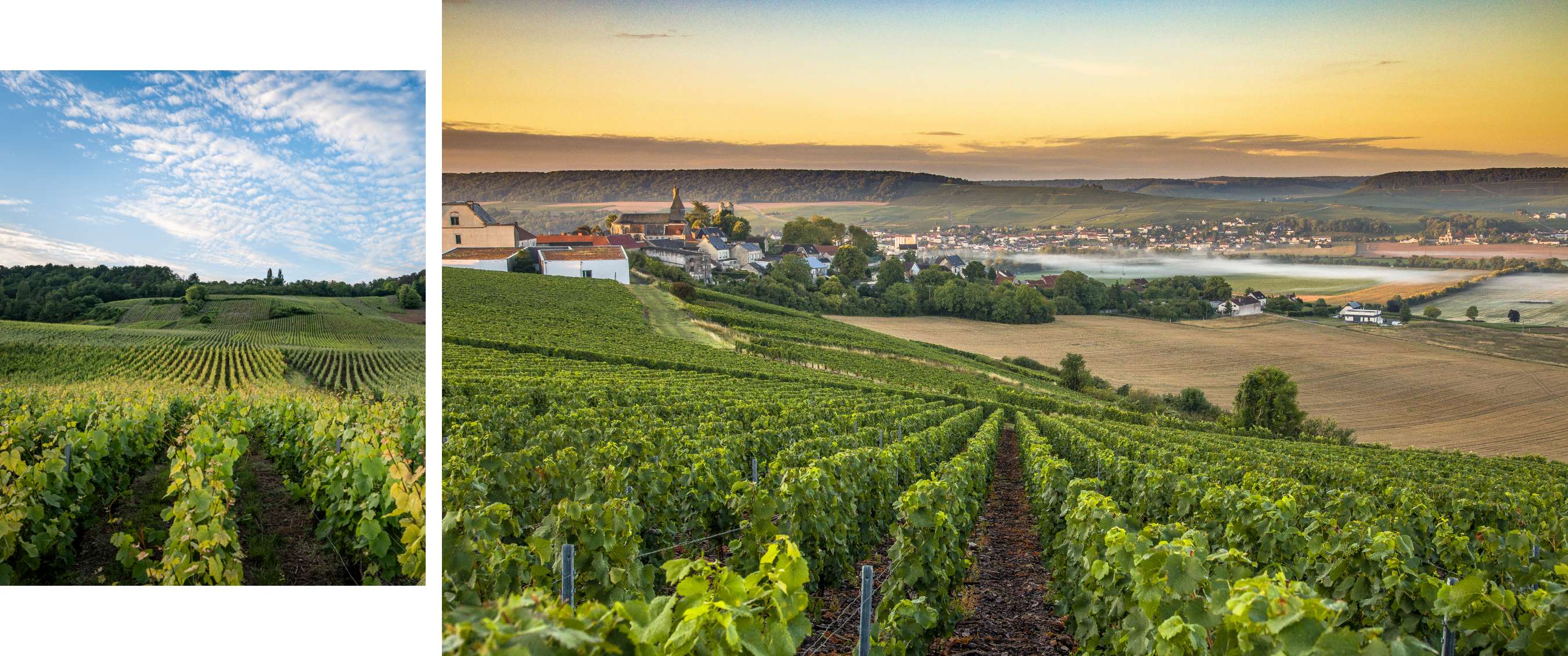 Deux images : vignoble sous un ciel bleu ; vignoble avec village et champs au lever du soleil