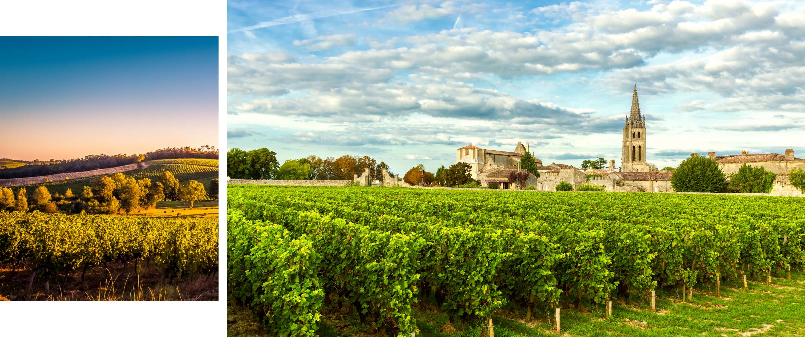 Deux images : lumière du soleil sur un vignoble ; village avec clocher et champs derrière les vignes