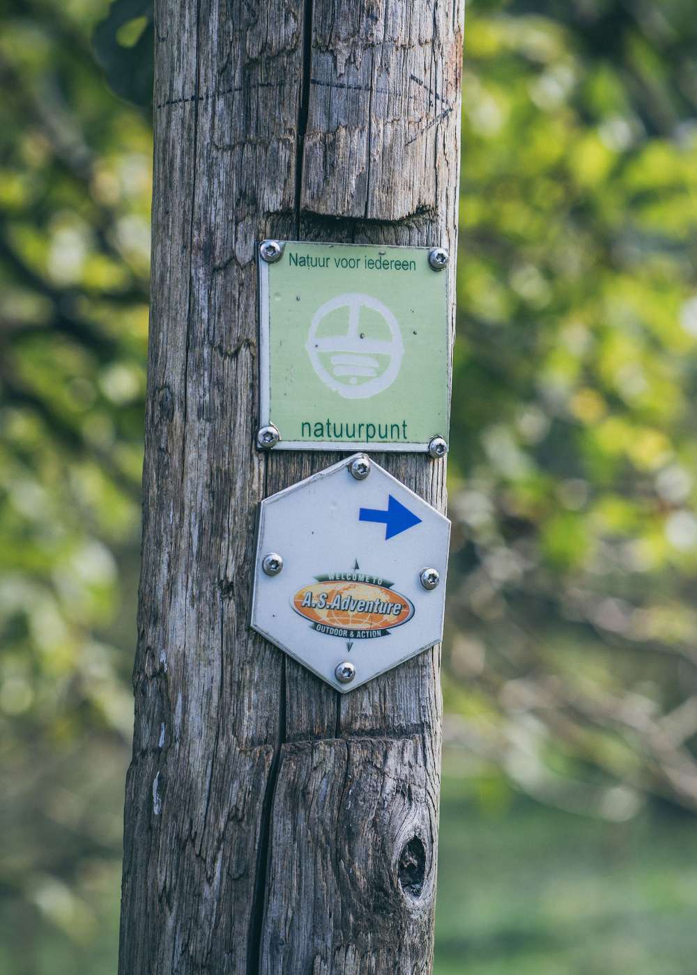 Twee beelden: mist trekt door een rotsachtig berglandschap; koe staat in een weide met bomen.