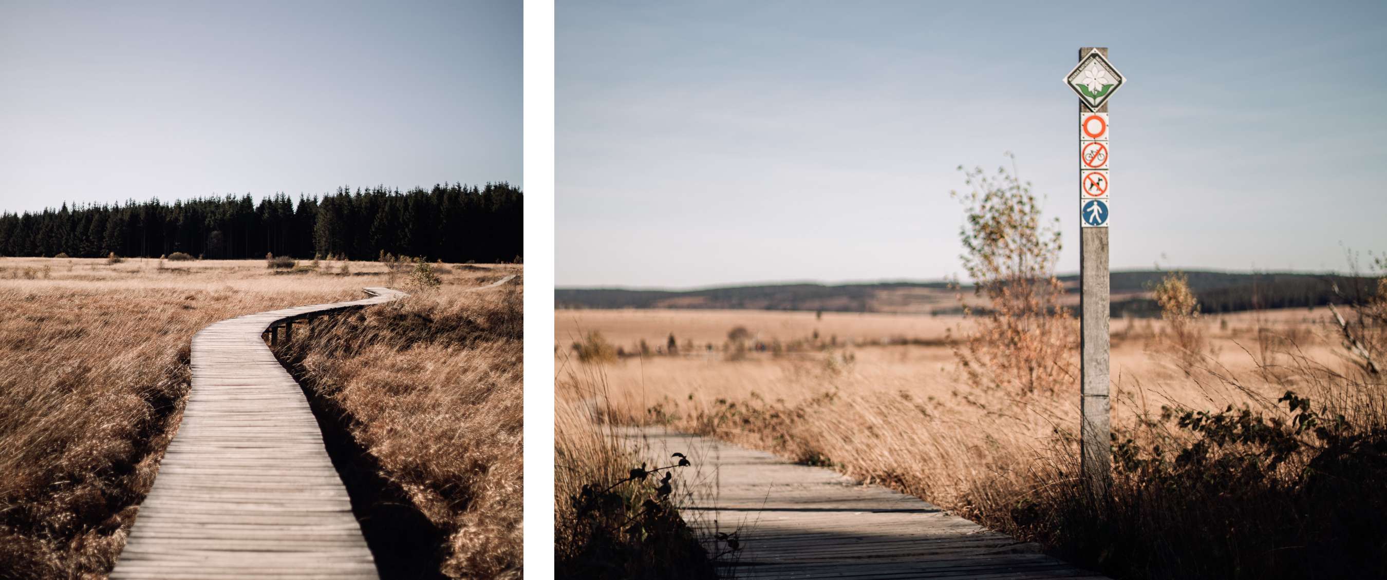 Natuur met houten wandelpad