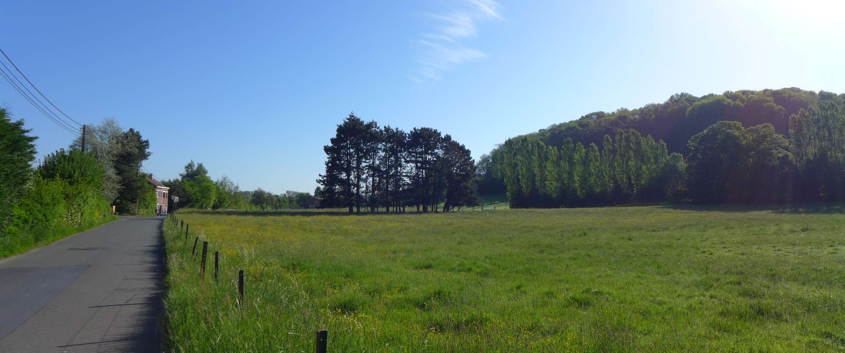 Bomen
