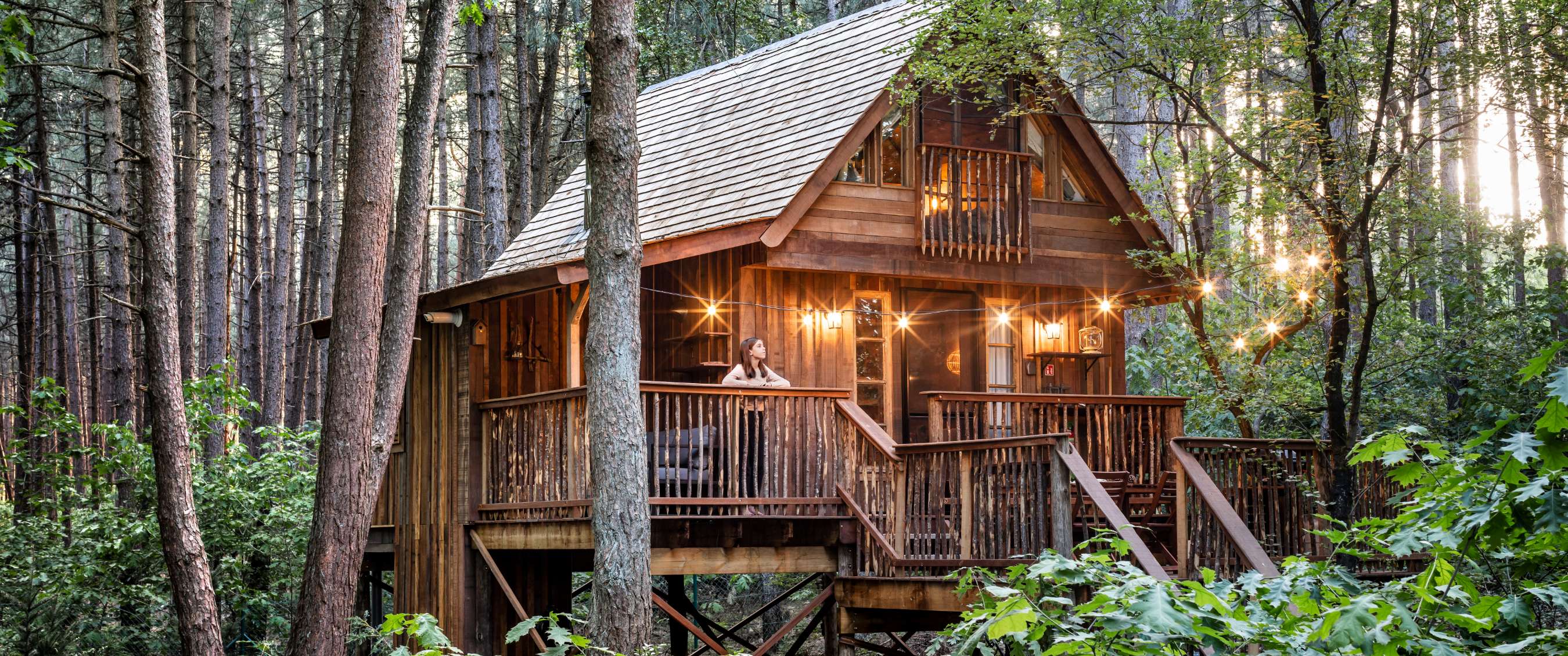 Cabane dans les arbres Treelodge