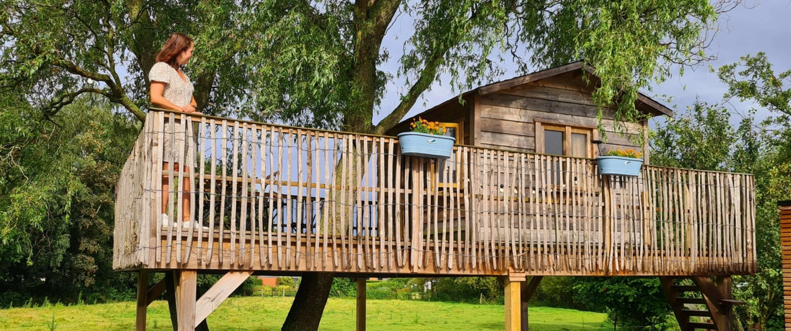 Cabane dans les arbres de Tina