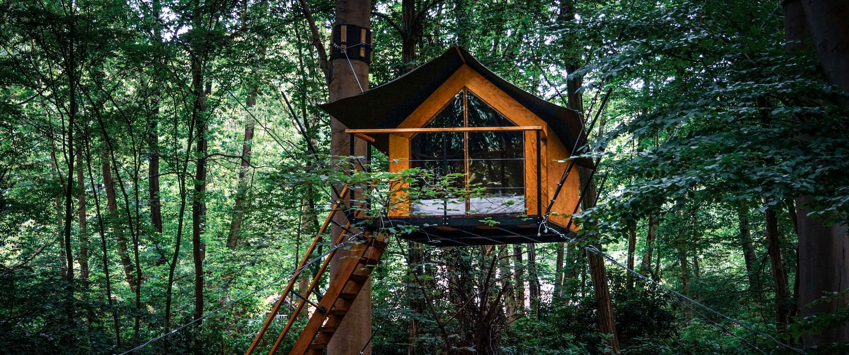 Cabane dans les arbres Boomkamp