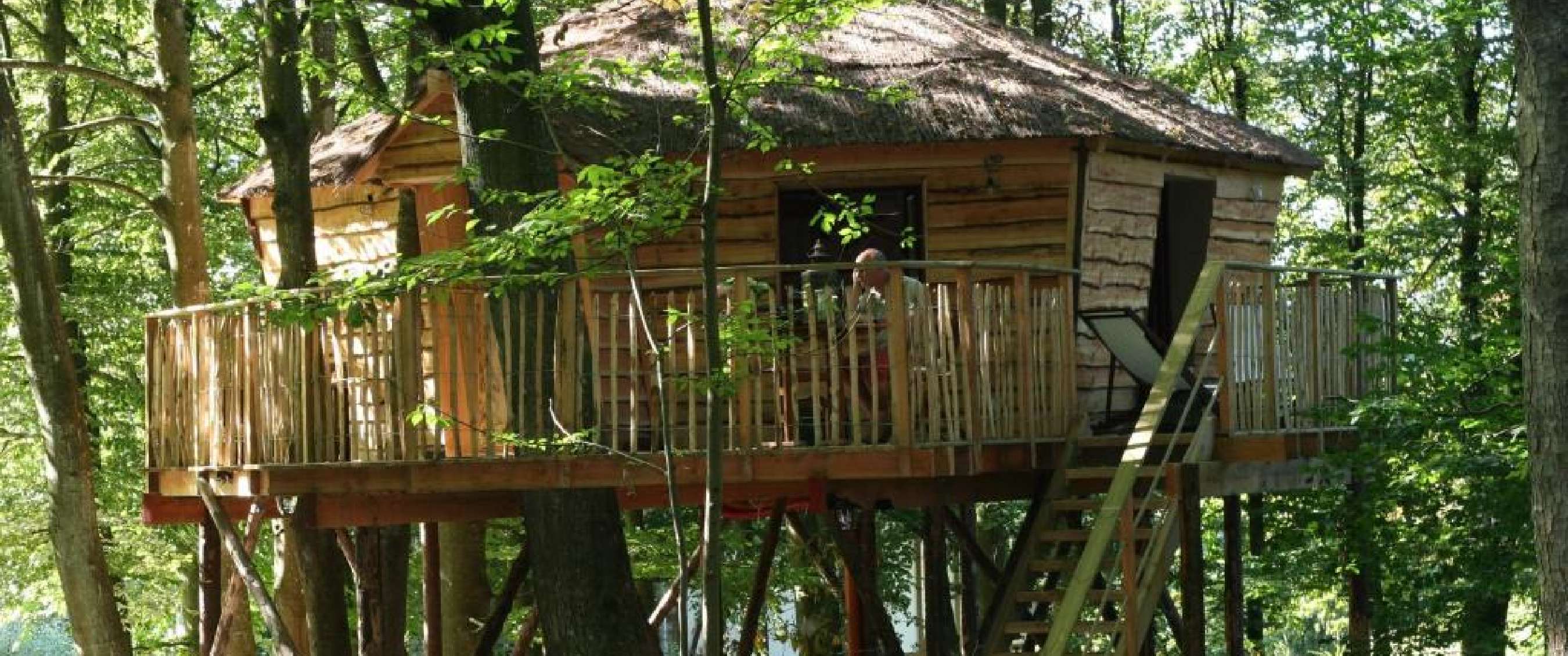 Cabane dans les arbres La cabane du bois dormant