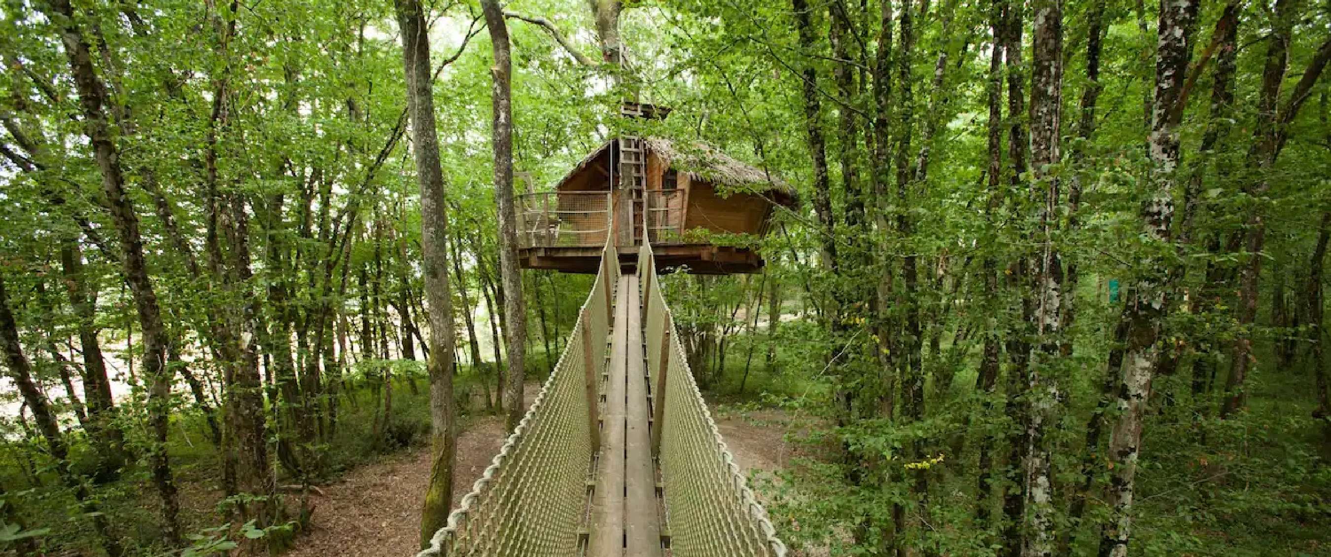 Cabane dans les arbres Cabane Margaux