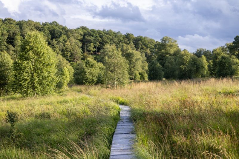 Expédition anniversaire : 12 idées pour passer le meilleur des anniversaires
