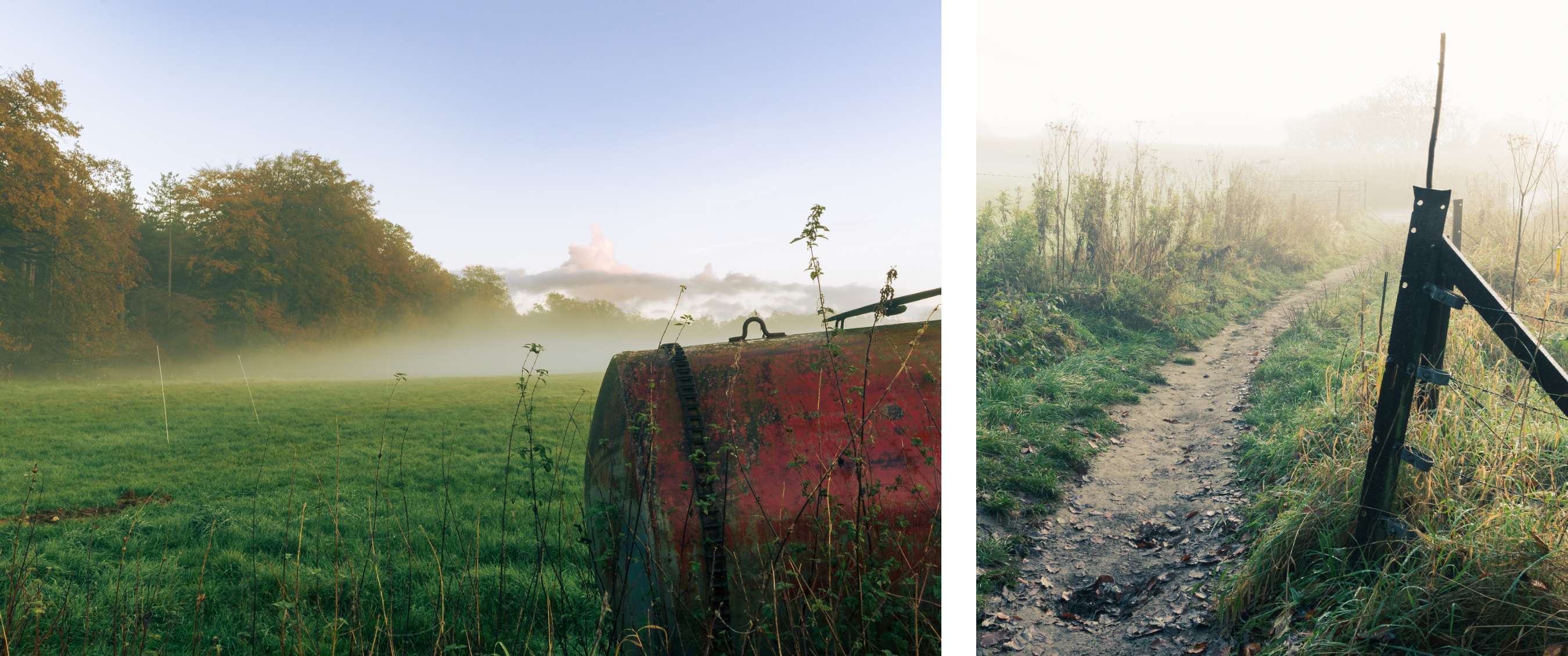 Prairie brumeuse avec sentier le long d’une clôture au lever du jour