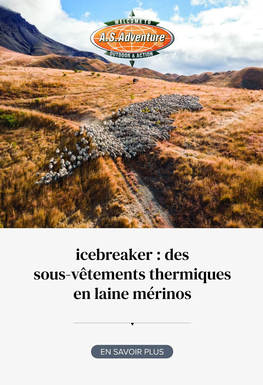 Ensemble Thermique Icebreaker Laine Mérinos Enfant - Taille 14Y/164cm, Gris, Excellent état