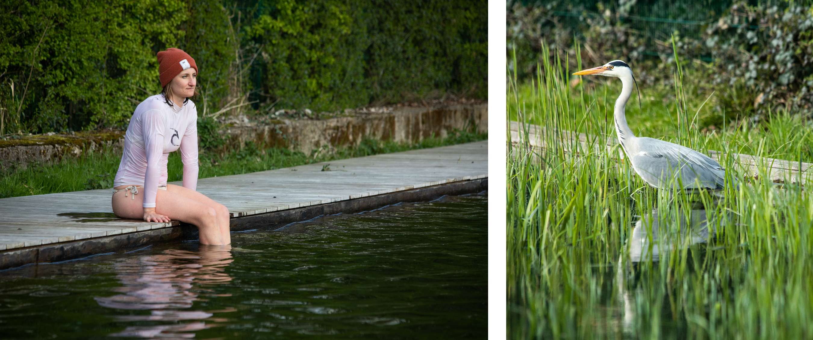 Deux images : personne assise sur un ponton au bord de l’eau ; héron debout parmi les hautes herbes près de l’eau.