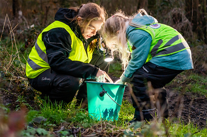 On se mouille pour les grenouilles : Nina et Sofie aident les amphibiens à traverser la route