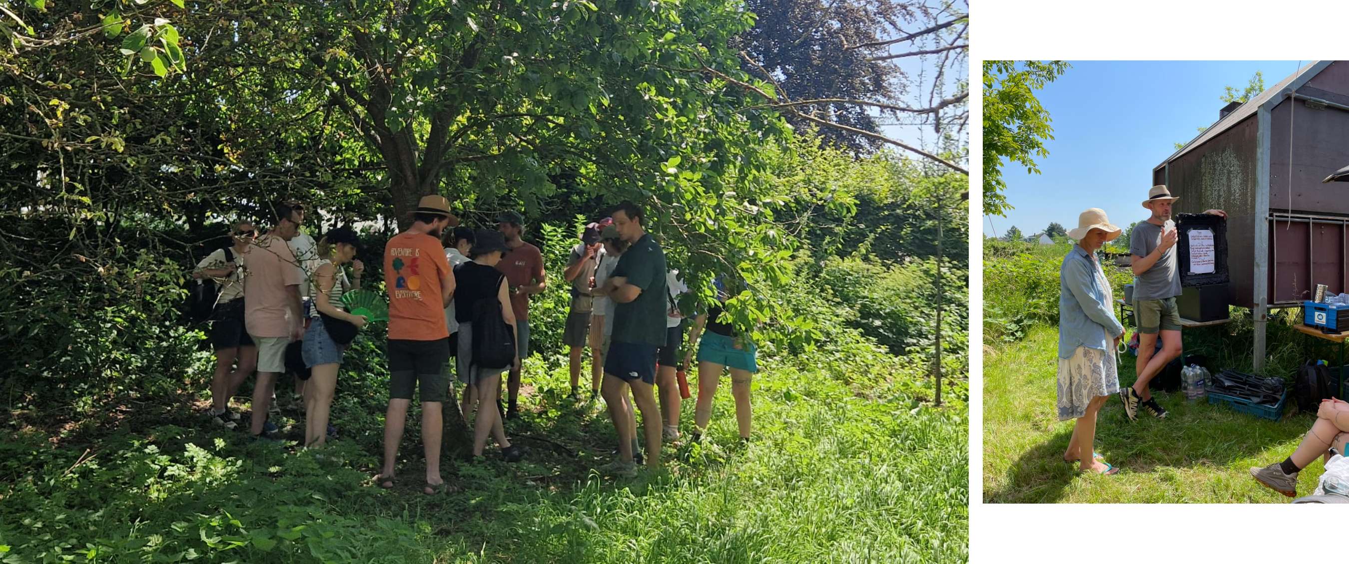 Groep mensen staat samen onder een grote boom in een groene, zonnige omgeving.