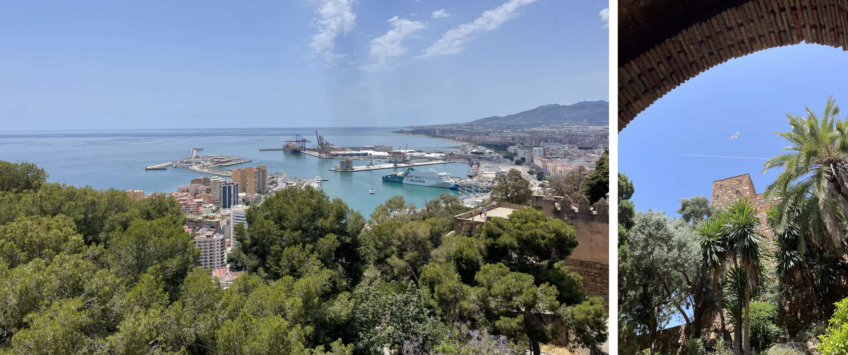 Two images: view over Málaga’s harbour and coastline; palm trees beside an old fortress wall.