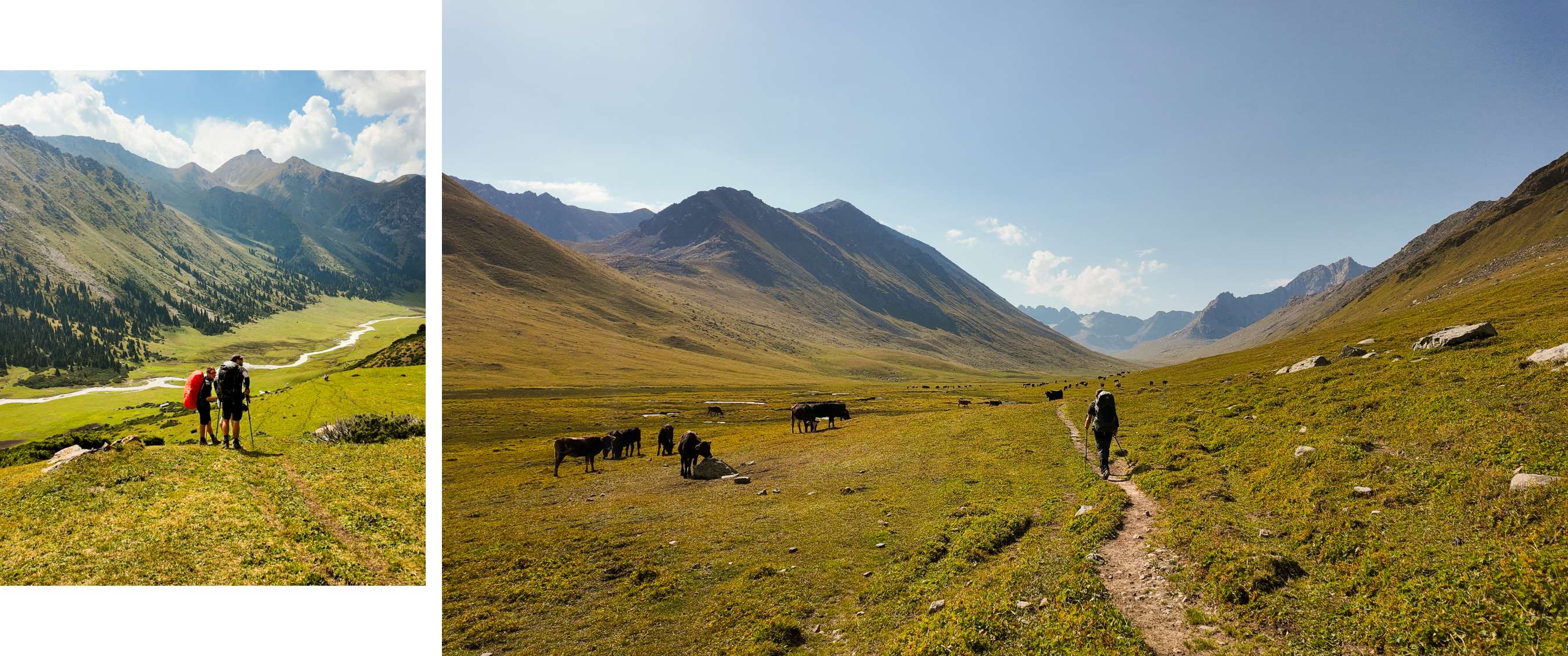 Twee beelden: wandelaars kijken uit over groene vallei; hiker loopt langs vee in bergdal.