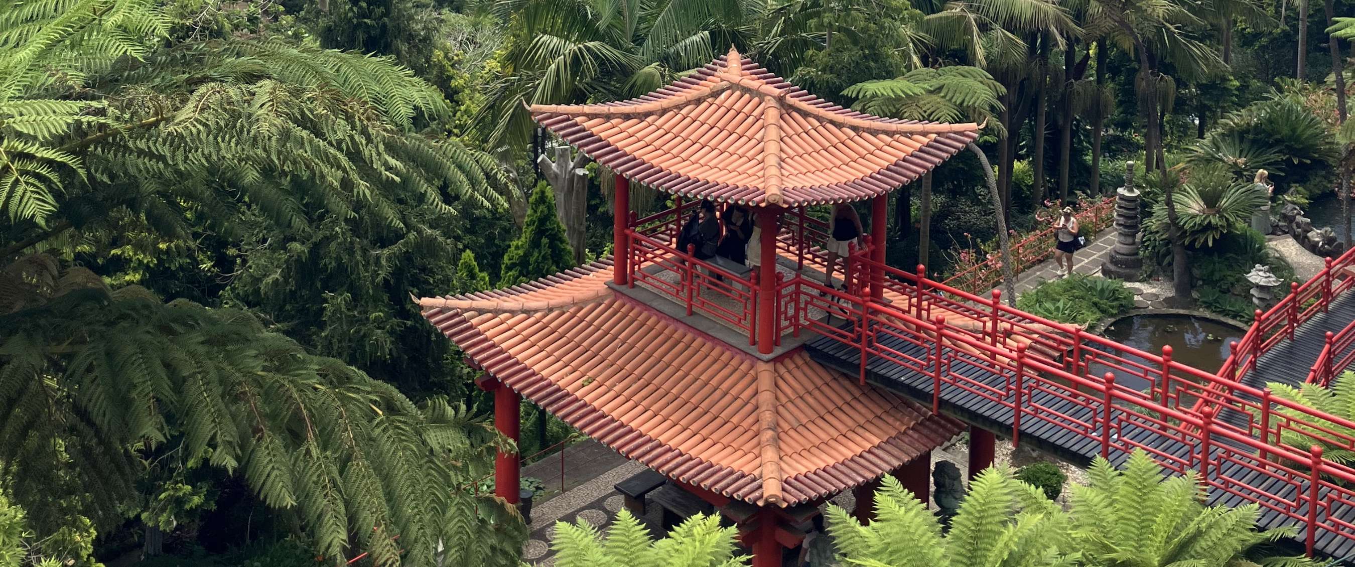 Rode pagode met brug tussen weelderige groene planten en bomen