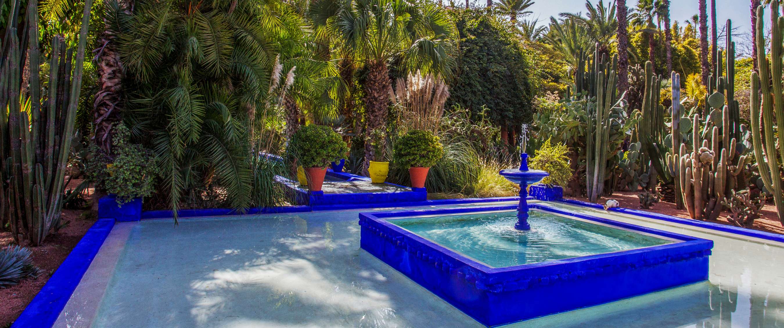 Blue square fountain in a lush garden with palm trees, cacti and colourful plant pots.