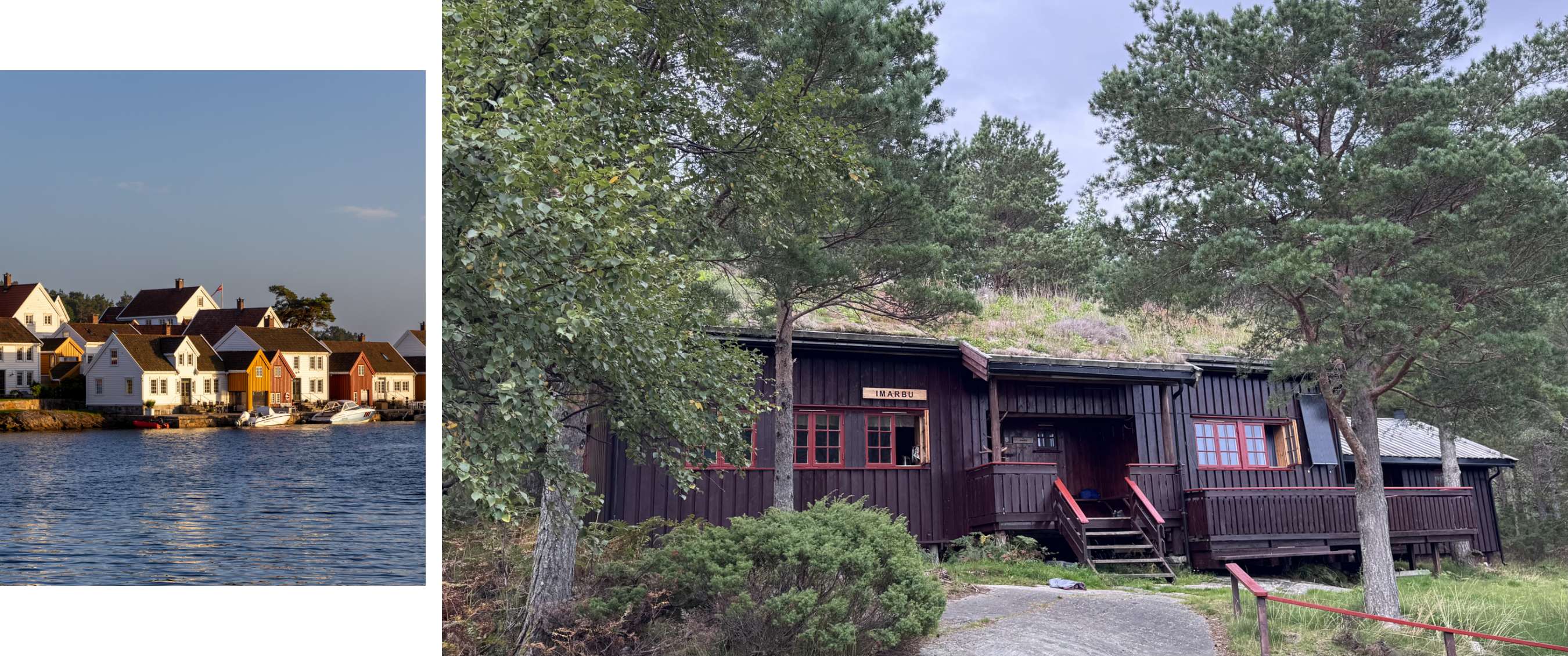 Cabane Imarbu parmi les pins, avec fenêtres rouges et toit couvert d'herbe et de fleurs.