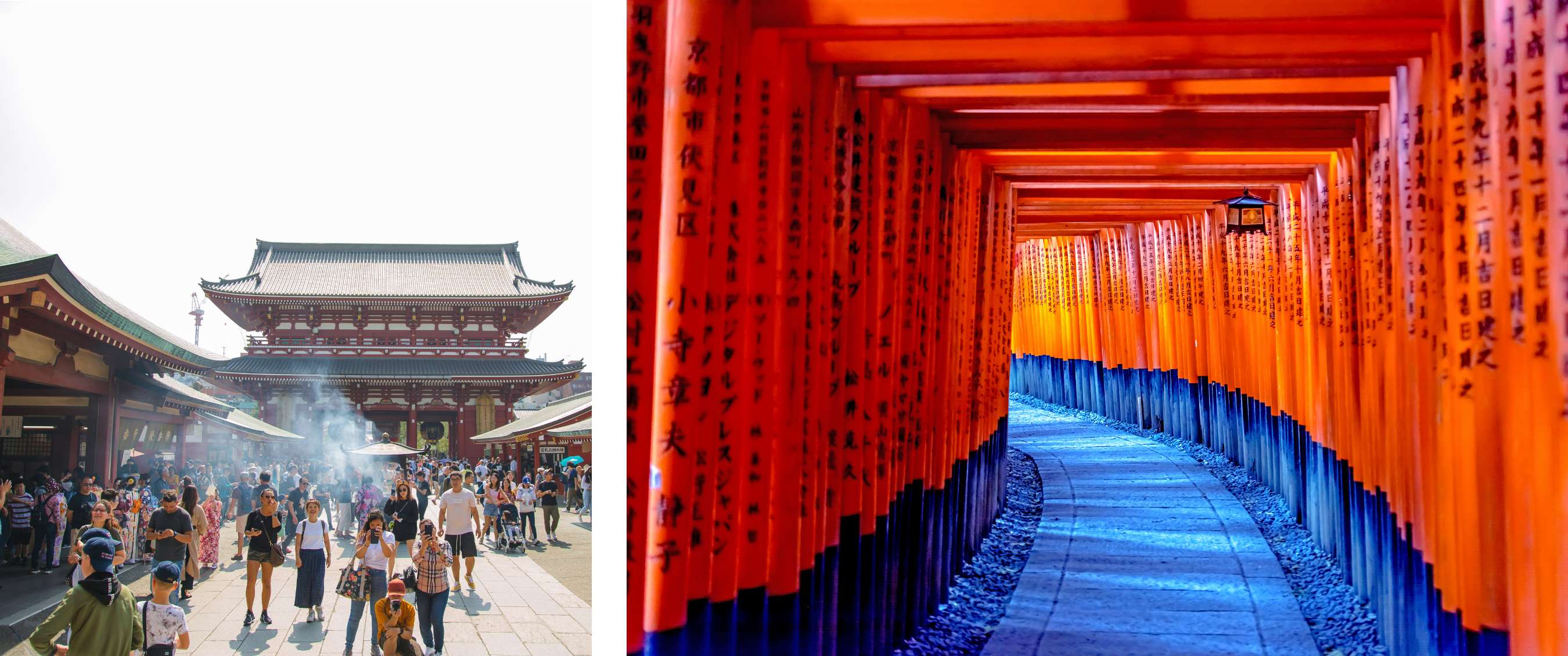 Twee beelden: drukbezochte boeddhistische tempel met bezoekers op binnenplein; wandelpad door rode torii-poorten met Japanse tekens