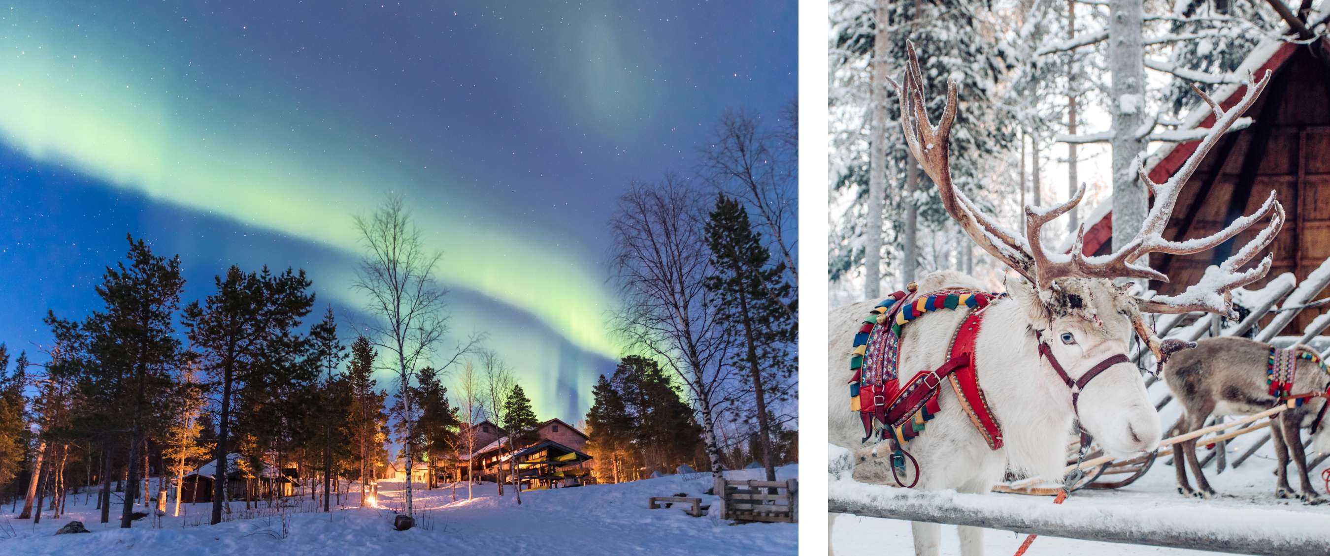 Twee beelden: noorderlicht boven besneeuwd dorp en dennenbos in winterse nacht; rendier met harnas in sneeuw bij houten gebouw