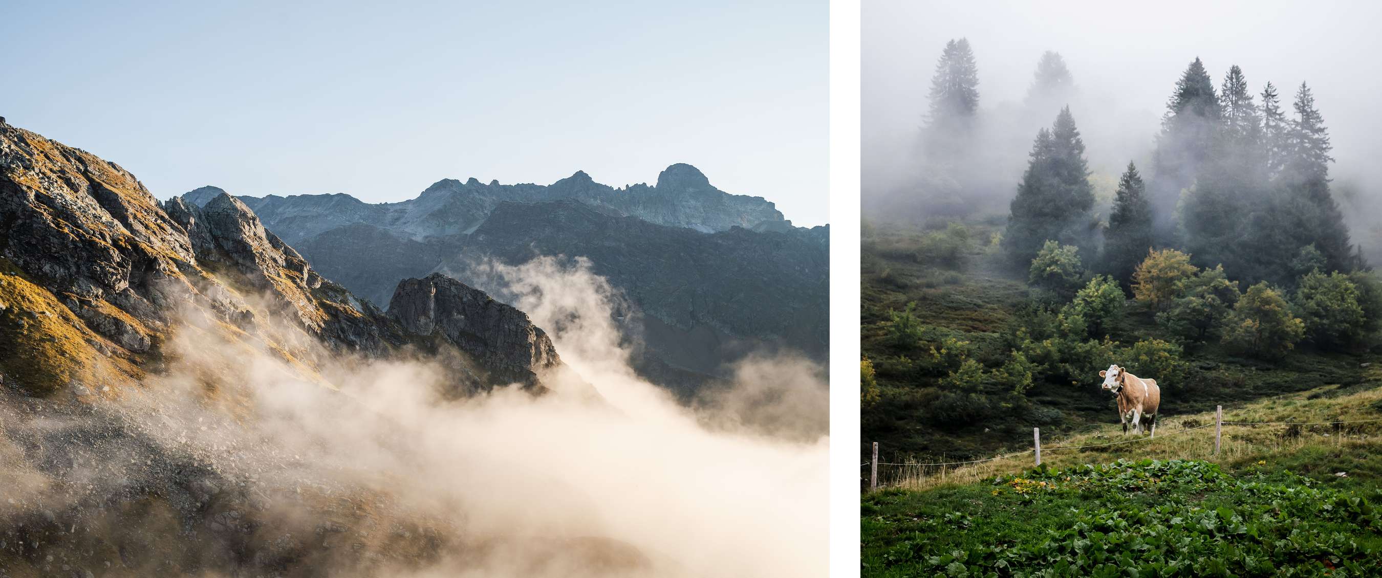 Deux images : brume sur un paysage montagneux rocheux ; vache dans un pâturage alpin.