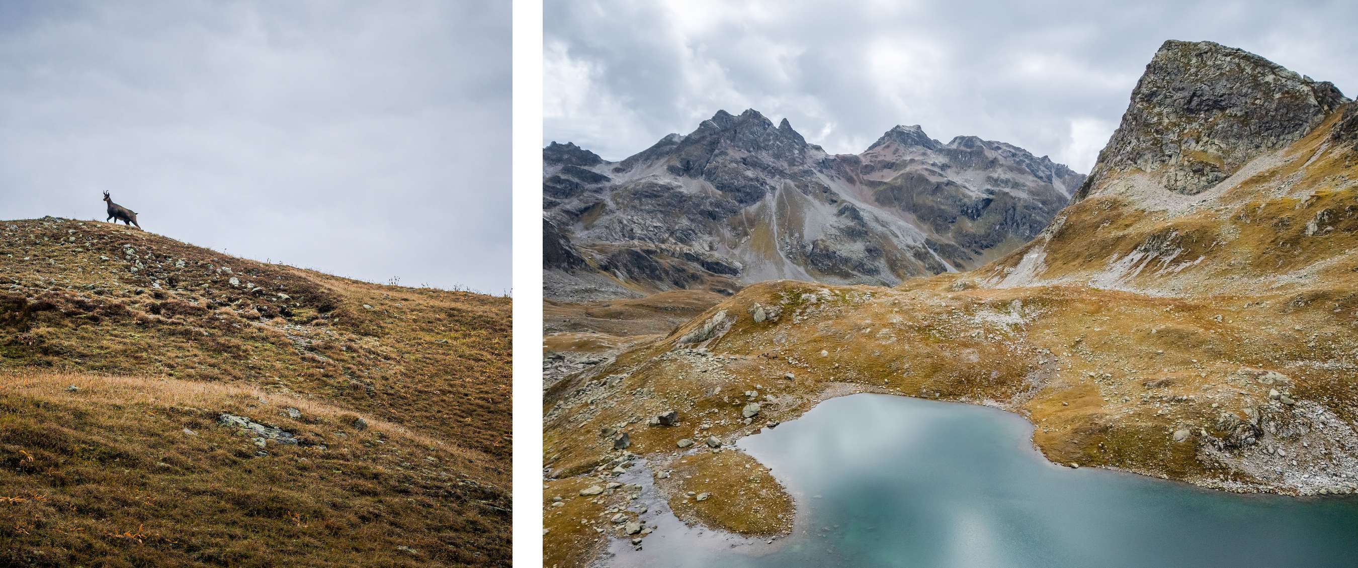 Deux images : chèvre de montagne sur une pente de montagne ; lac alpin dans un paysage rocheux.