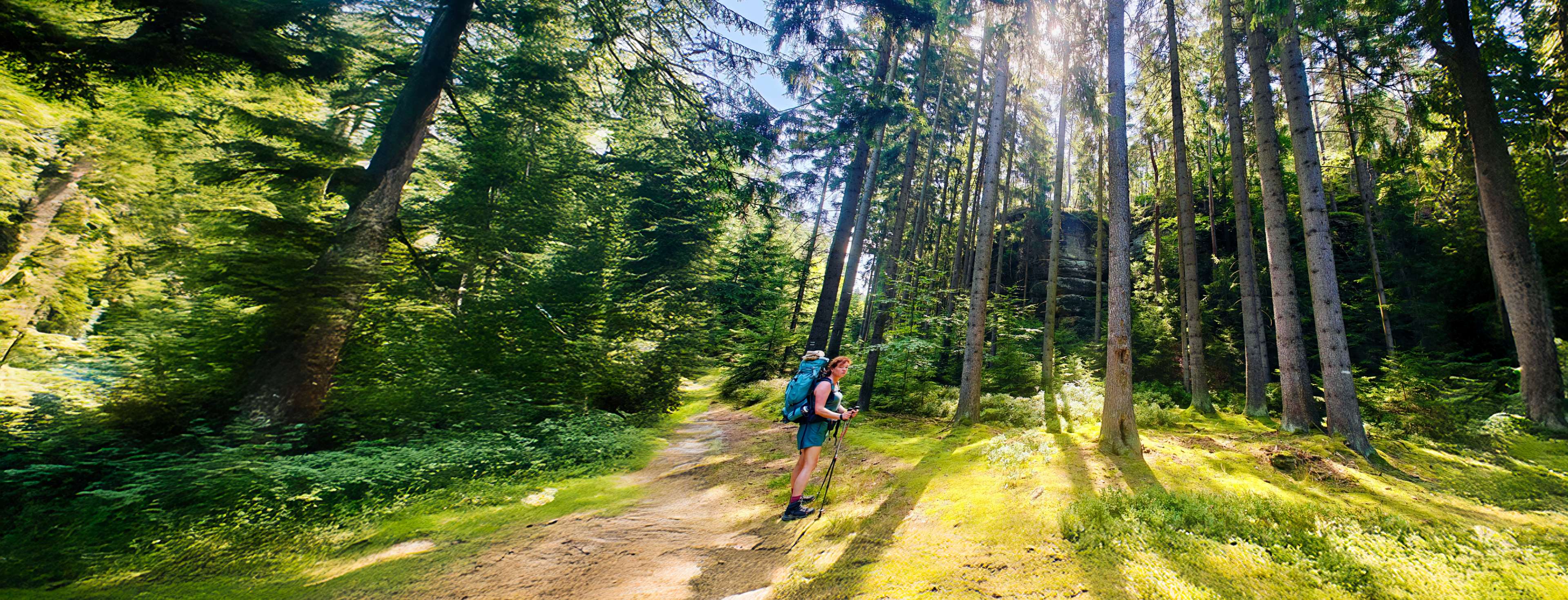 Wandelen door Tsjechië: 6 dagen slow travel richting Praag