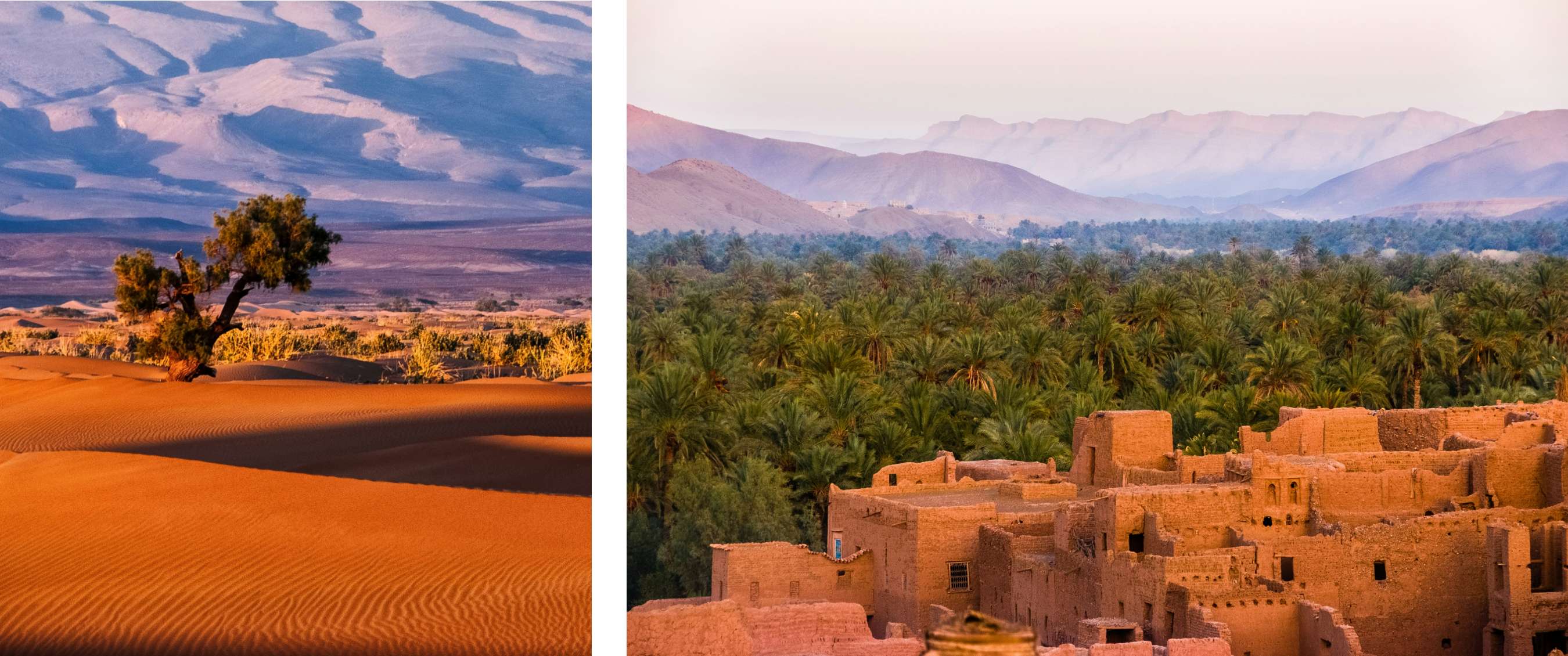 Deux images : dunes ondulantes du désert avec un arbre et des jeux d’ombre ; village traditionnel en terre entouré de palmiers et de collines.