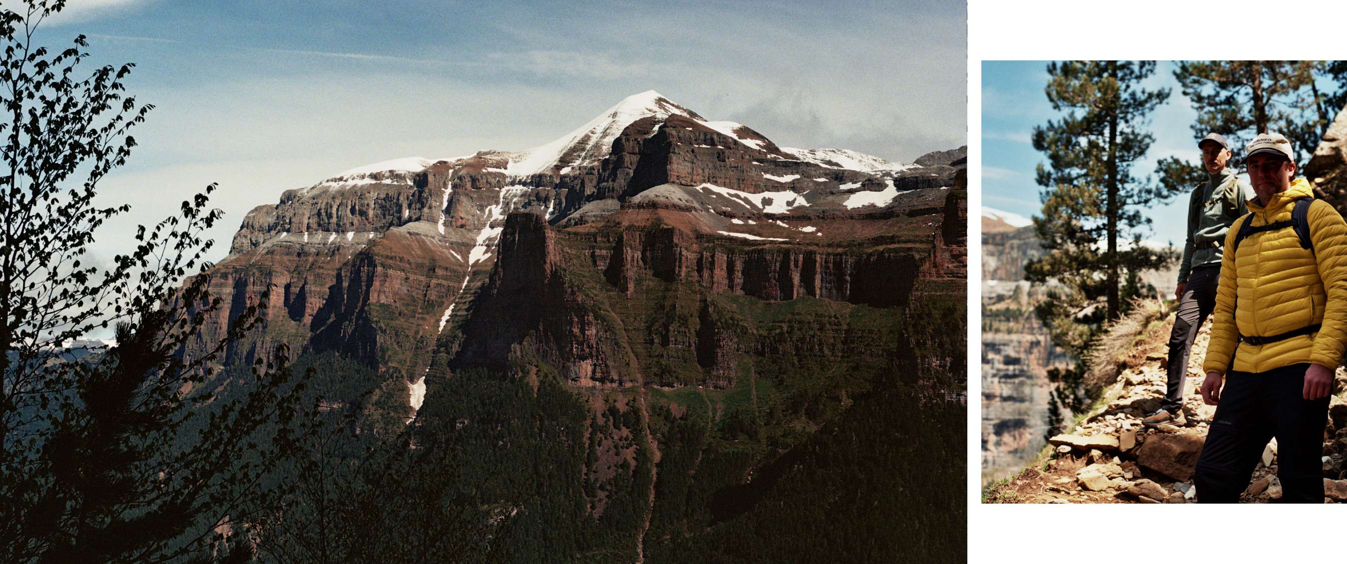 Un sommet enneigé s’élève au-dessus d’un massif rocheux avec des arbres au premier plan.