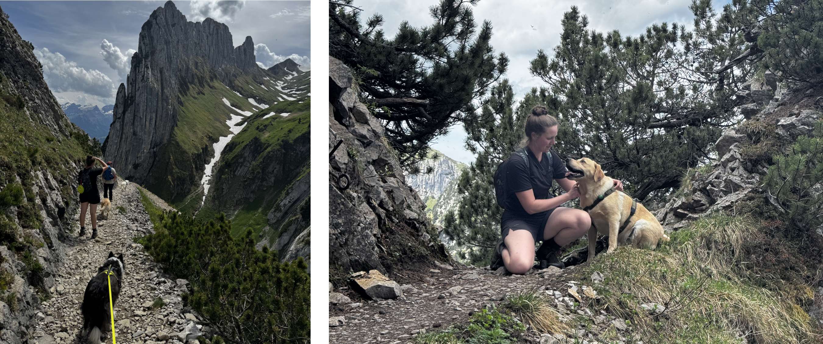Un groupe de randonneurs accompagnés de chiens sont sur un sentier de montagne escarpé, avec un impressionnant pic rocheux en arrière-plan.  - Une femme est agenouillée sur un sentier de montagne et câline son chien dans ses bras, entourée d’arbres et de formations rocheuses. 