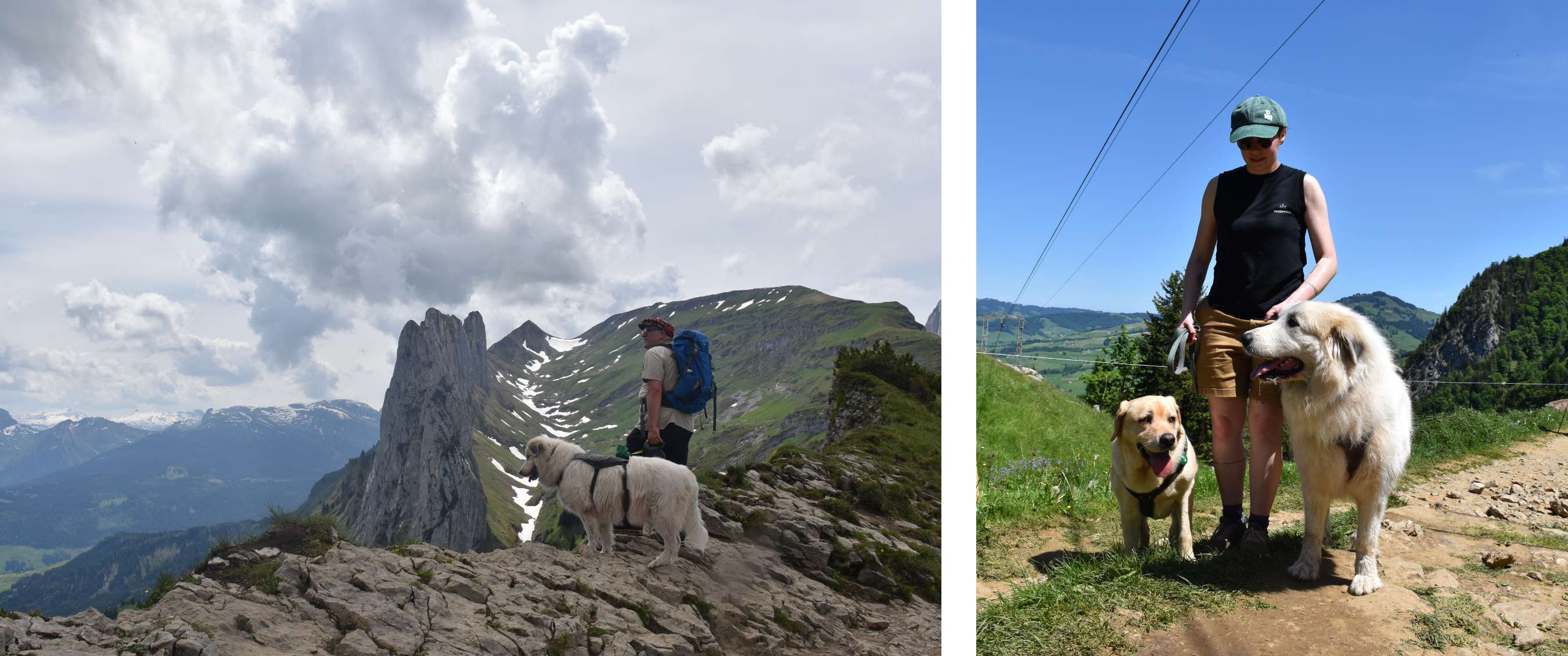 Un homme avec un sac à dos bleu et un chien de montagne blanc se tiennent sur le point d’observation rocailleux d’un massif rocheux acéré, dans un décor spectaculaire.