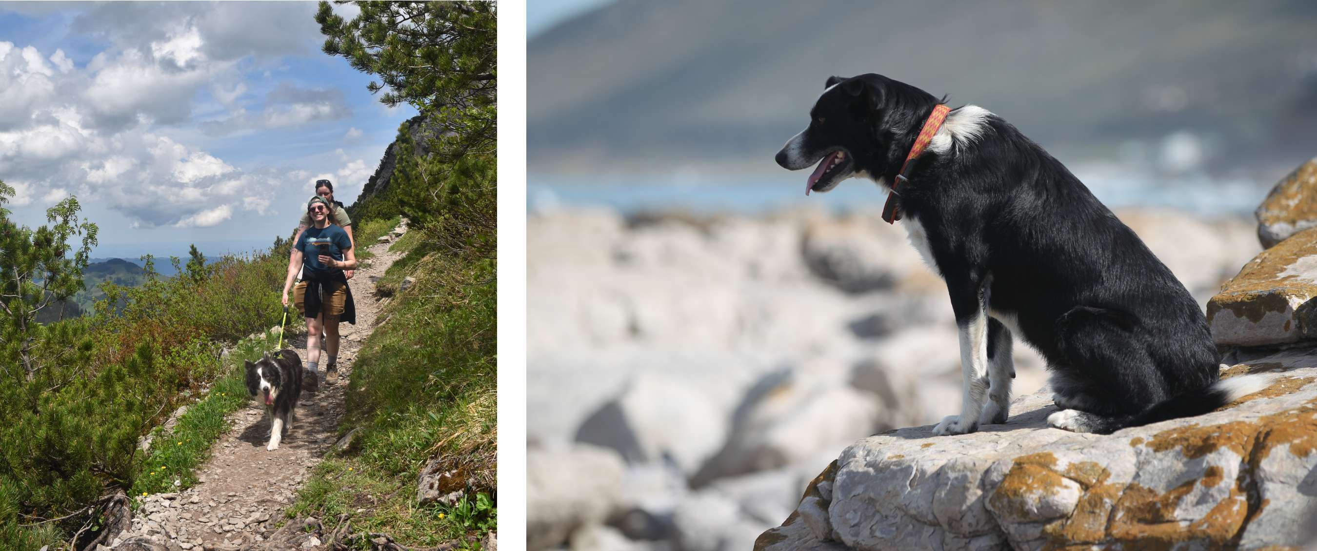 Deux randonneurs marchent sur un sentier de montagne avec un border collie tenu en laisse, dans un cadre somptueux et un ciel légèrement nuageux. - Un rocher qui surplombe un paysage côtier avec l’océan en arrière-plan.