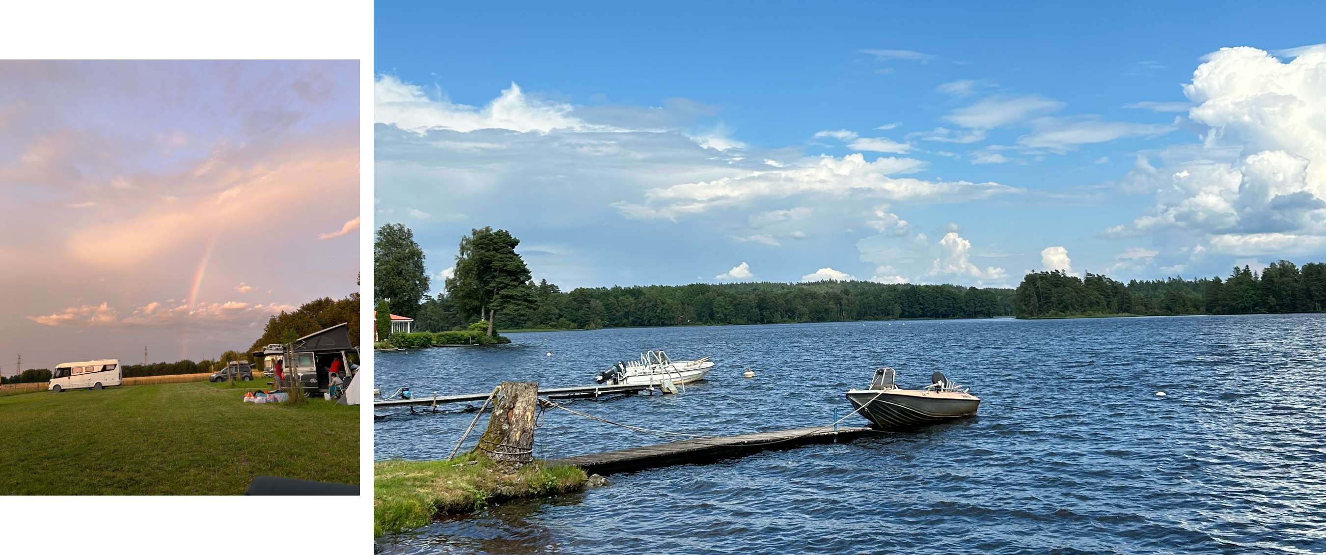 Twee beelden: mist trekt door een rotsachtig berglandschap; koe staat in een weide met bomen.
