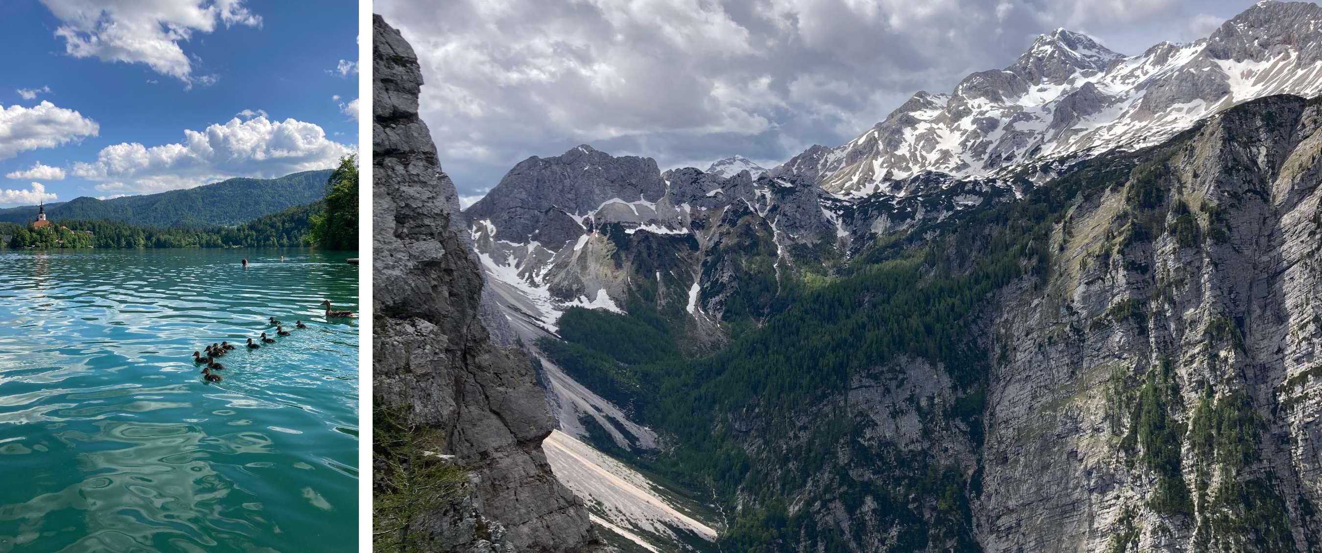 Twee beelden: mist trekt door een rotsachtig berglandschap; koe staat in een weide met bomen.