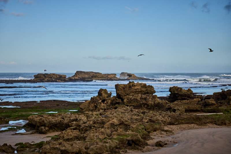 Essaouira, the city guide