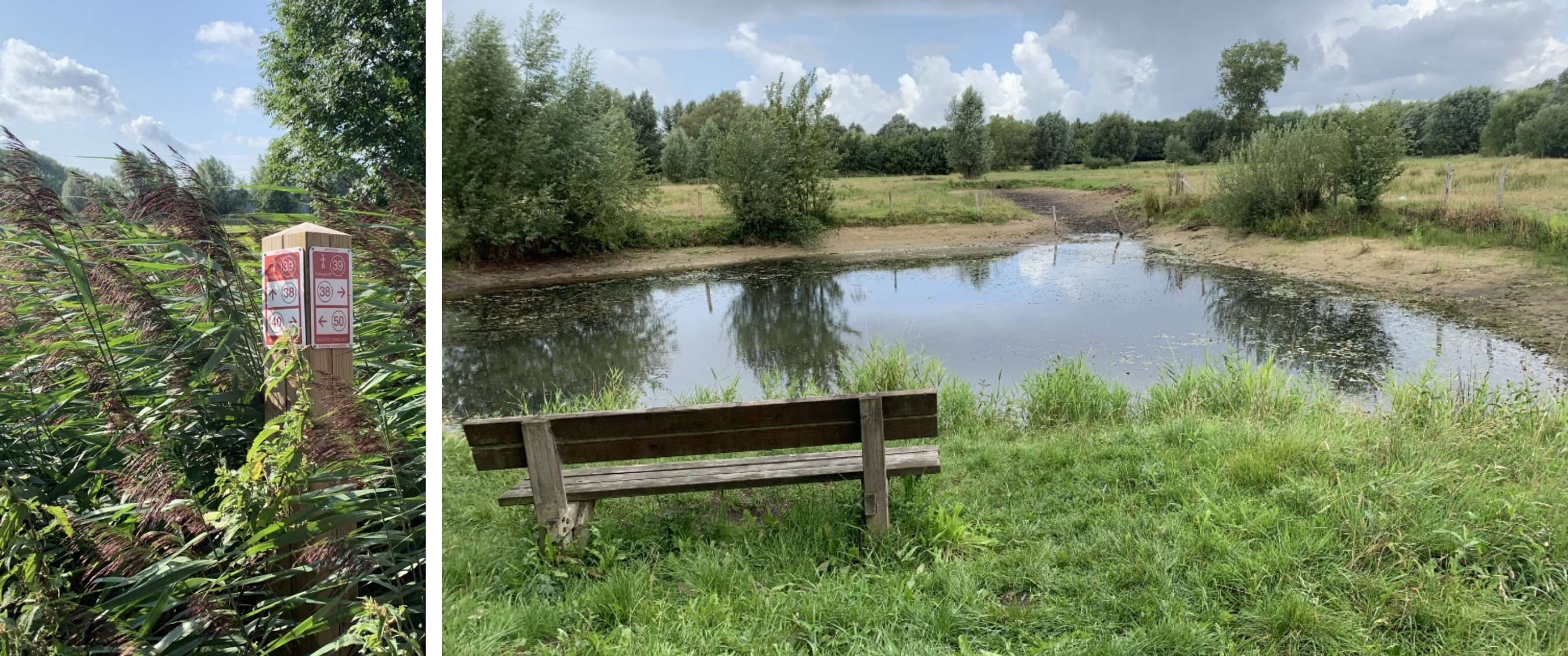 Twee beelden: routepaal tussen hoog riet; houten bank aan een vijver in groen natuurgebied.