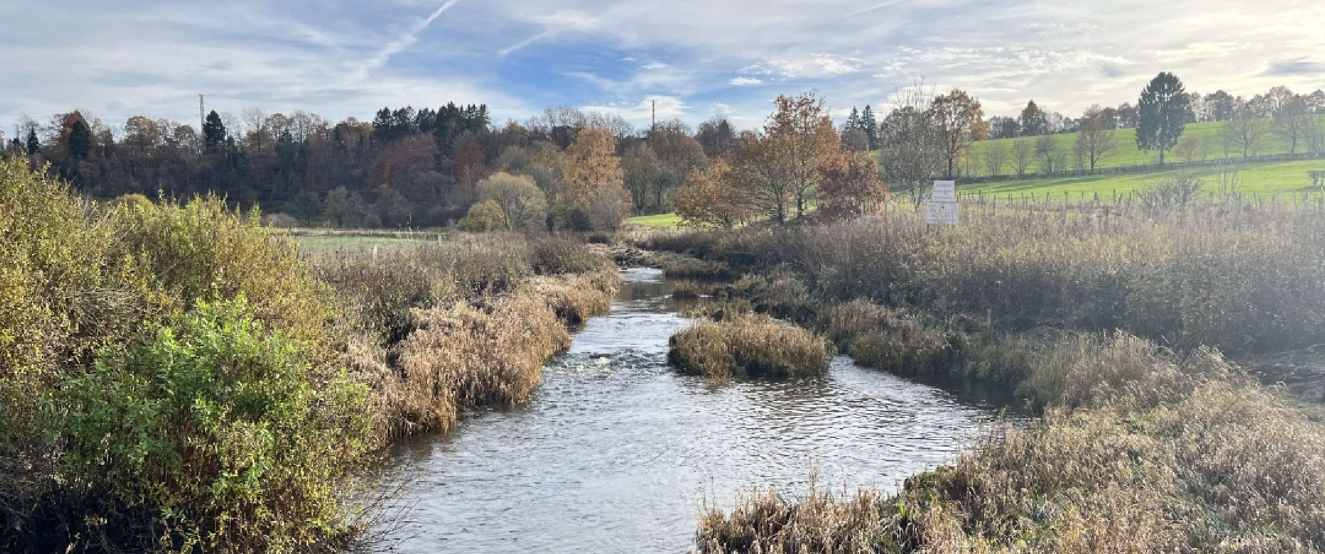 Rivier kronkelt door riet en struiken in een open landschap met bomen en weilanden.
