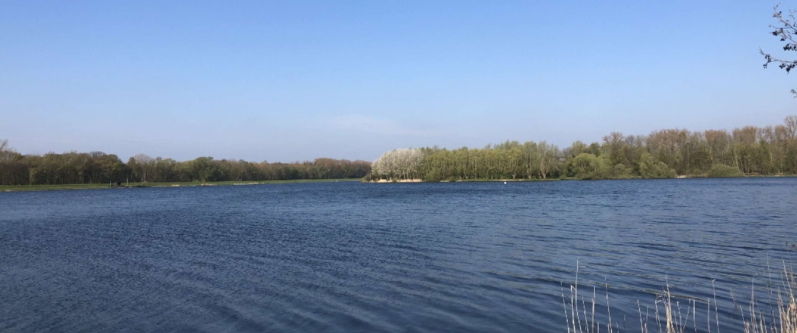 Groot meer met blauwe rimpels, bomen aan de overkant en een heldere hemel.