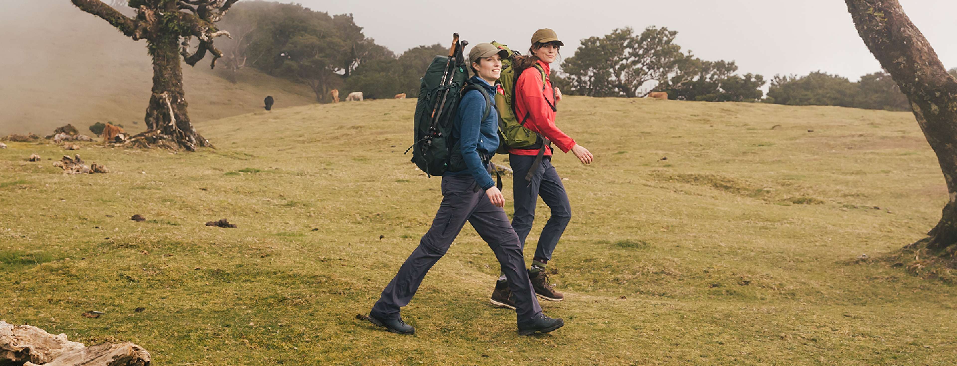 Ontdek de 12 A.S.Adventure-wandelroutes met Wandelknooppunt