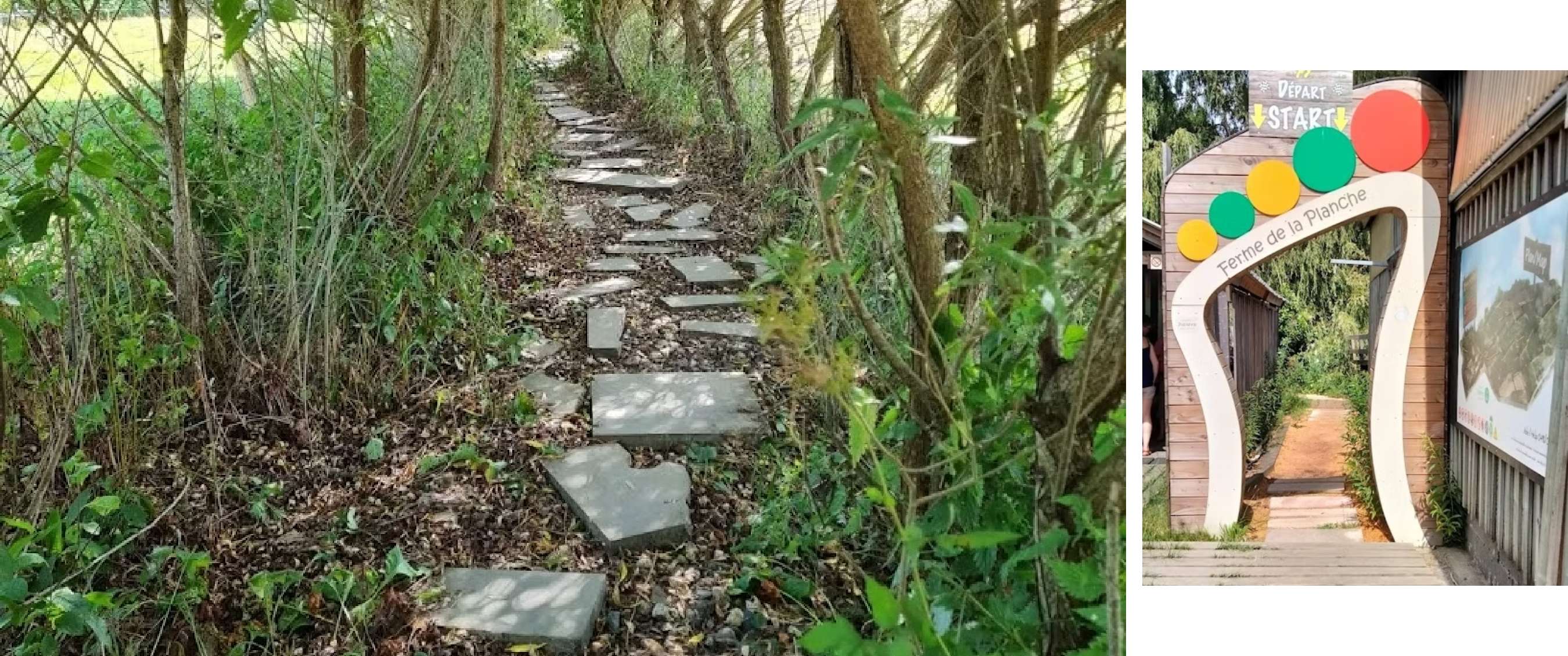 Reeks platte stenen vormt een wandelpad onder overhangende takken en struiken.