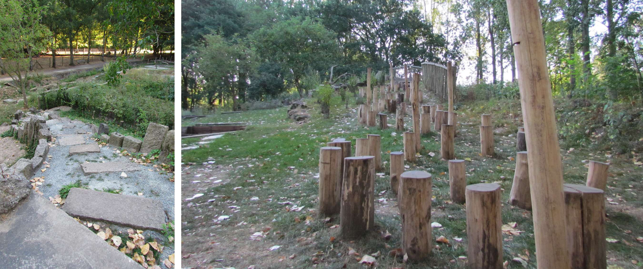 Reeks boomstammen van verschillende hoogtes vormt een parcours tussen bomen.