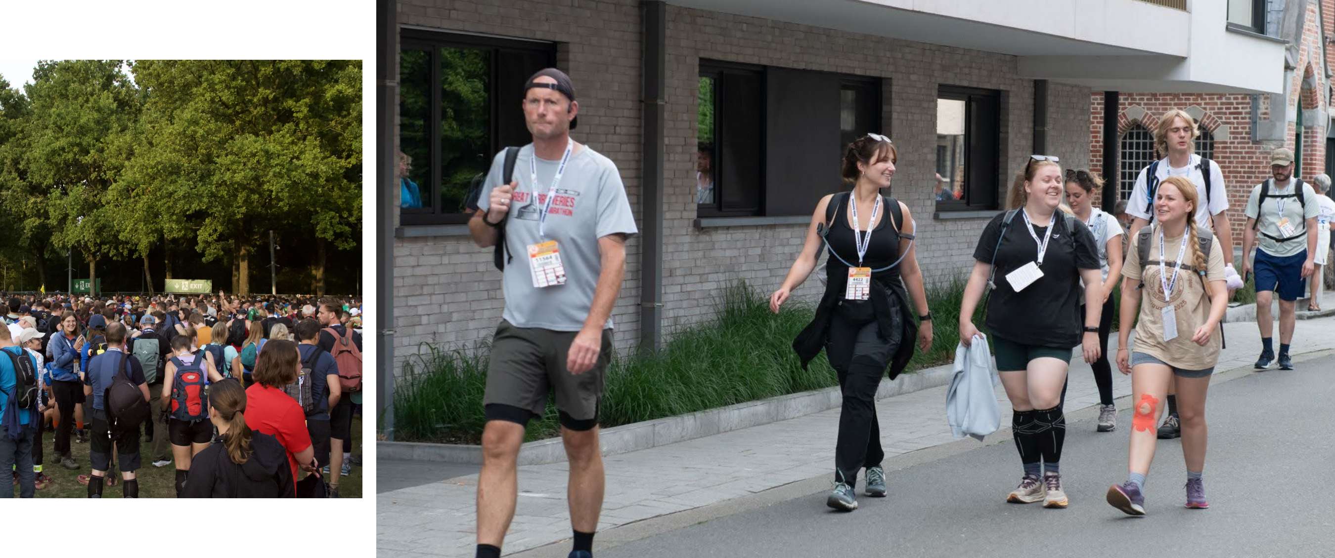 Twee beelden: mist trekt door een rotsachtig berglandschap; koe staat in een weide met bomen.