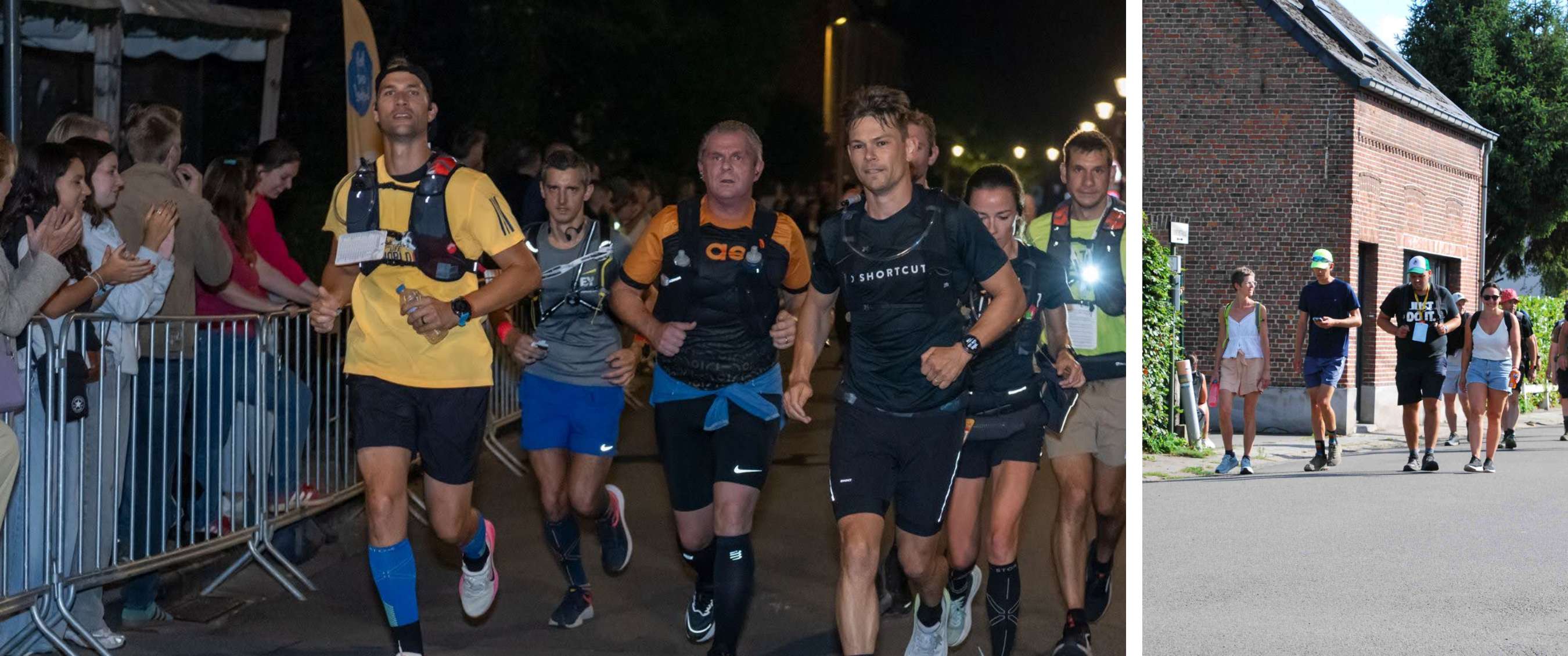 Twee beelden: mist trekt door een rotsachtig berglandschap; koe staat in een weide met bomen.