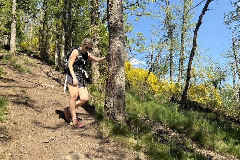 À l’essai : les HOKA Challenger 8, des chaussures de trail légères