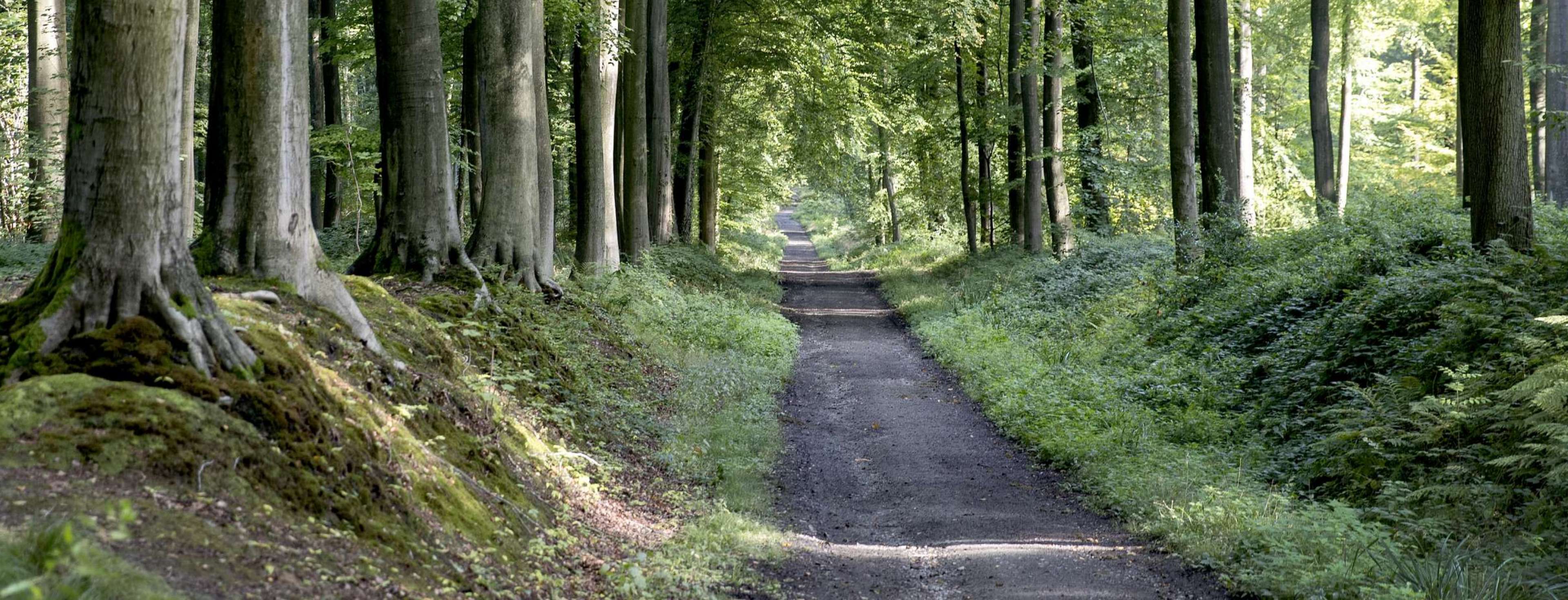 Hoe werken wandelknooppunten?