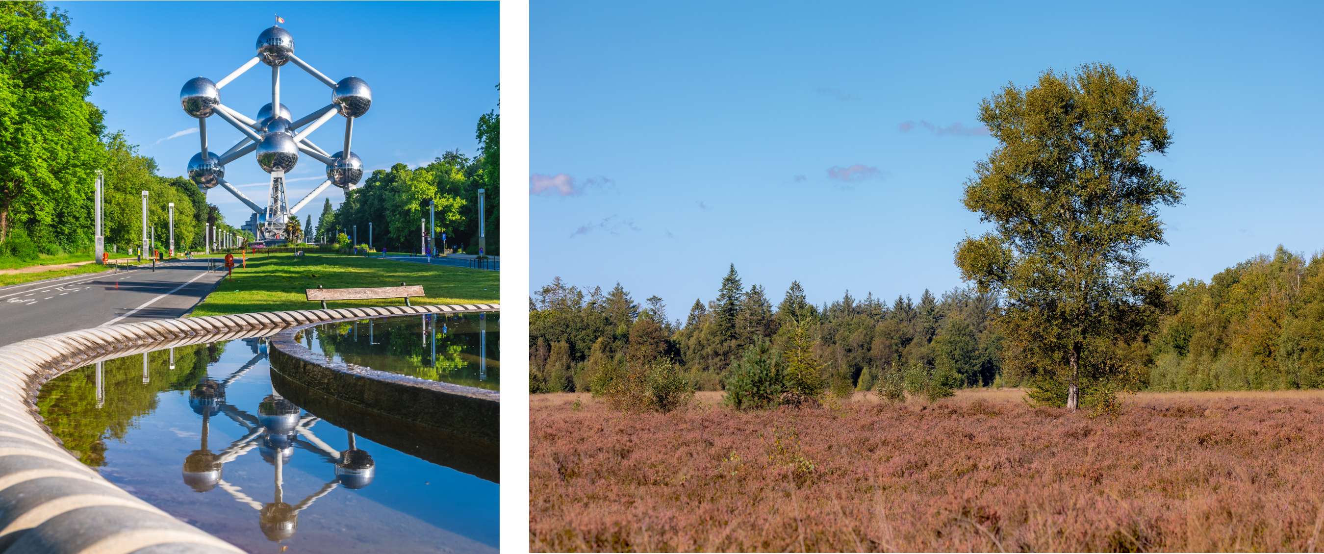 Deux images : Atomium au bord d’une large avenue ; paysage ouvert de bruyère avec arbre et lisière