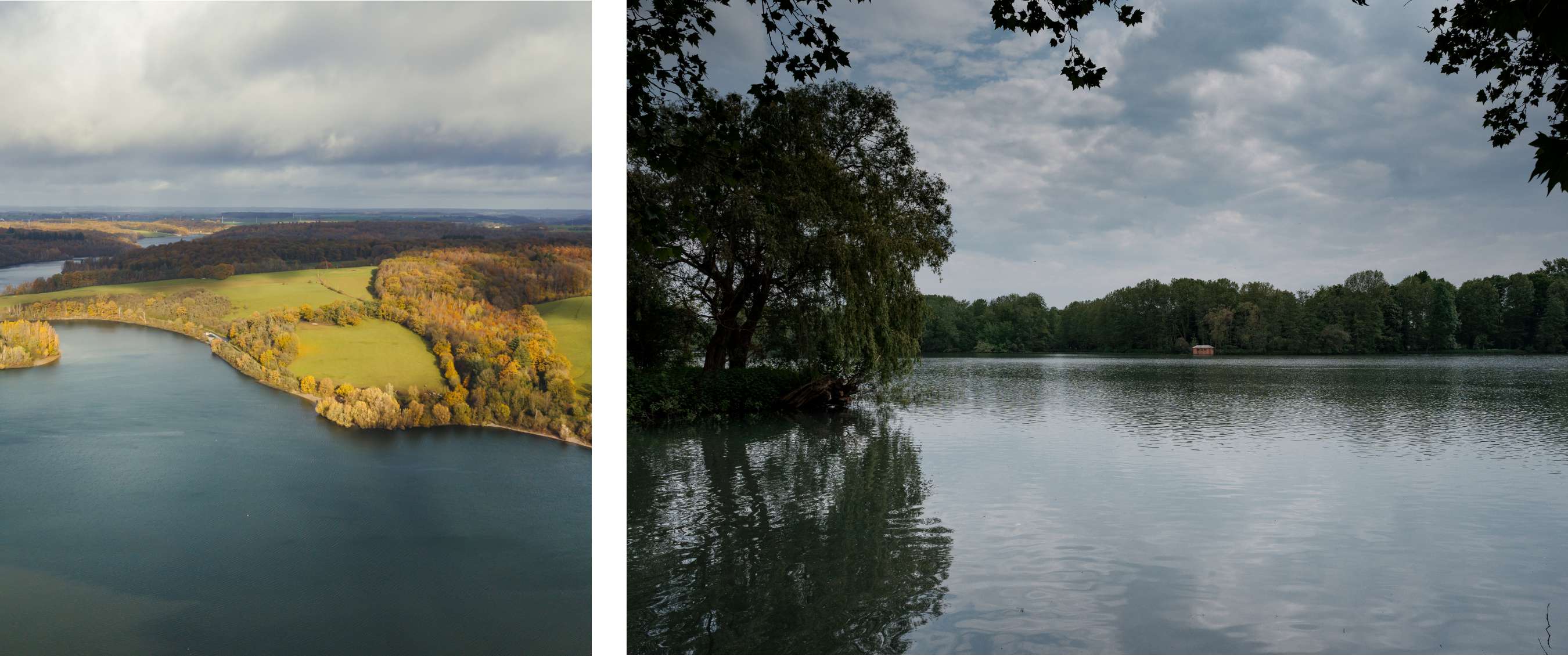 Deux images : vue aérienne d’un lac avec rives et champs ; lac calme bordé d’arbres